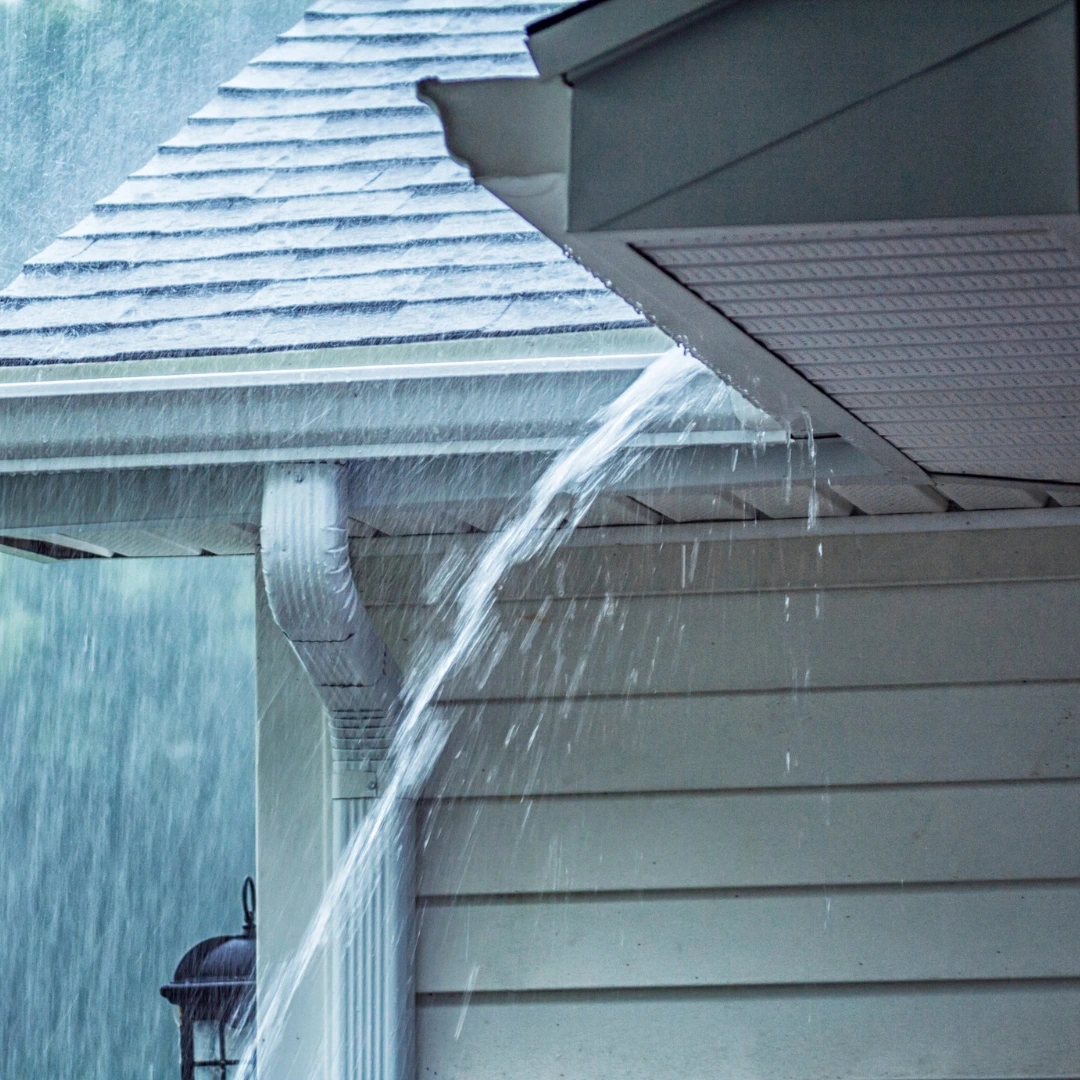 Wind driven rain damage